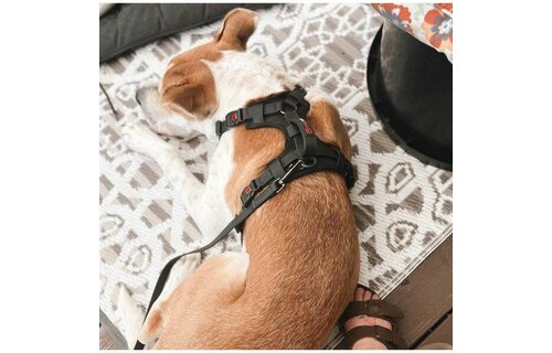 Smellydogz No-Pull Comfort Harness Black Small