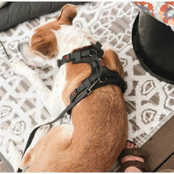 Smellydogz No-Pull Comfort Harness Black Small