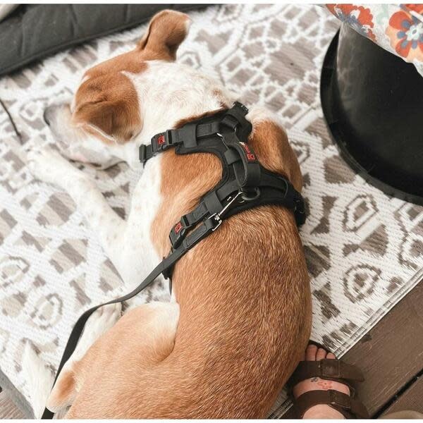 Smellydogz No-Pull Comfort Harness Black Small
