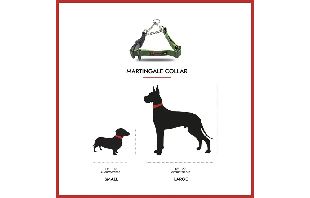 Smellydogz  Martingale Collar Green 1" 18-22"