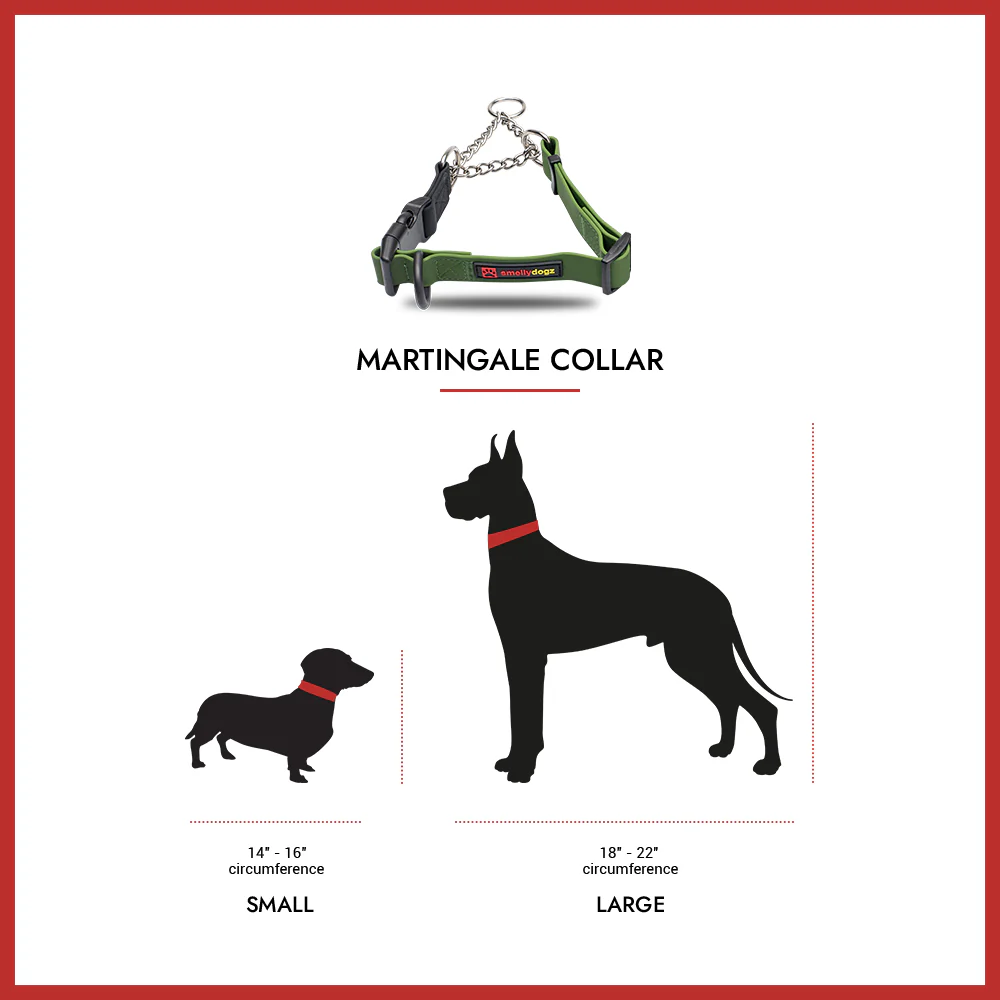 Smellydogz  Martingale Collar Green 1" 18-22"
