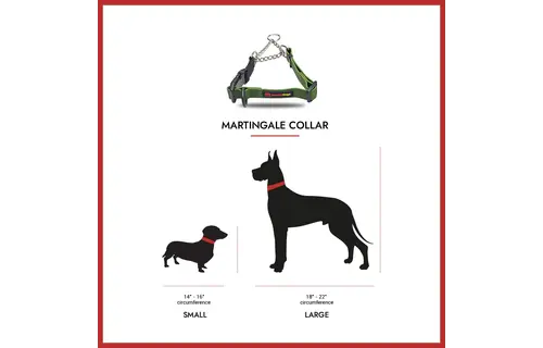 Smellydogz Martingale Collar Black 0.75" 14-18"
