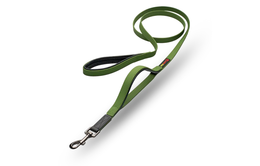 Smellydogz Double Handle Lead Green 0.75" 6'