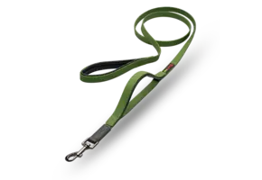 Smellydogz Double Handle Lead Green 0.75" 6'