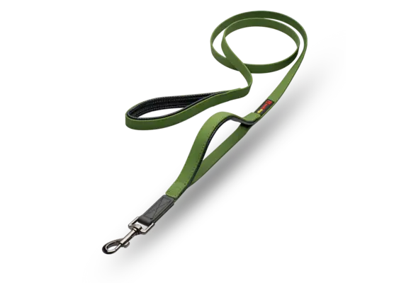 Smellydogz Double Handle Lead Green 0.75" 6'