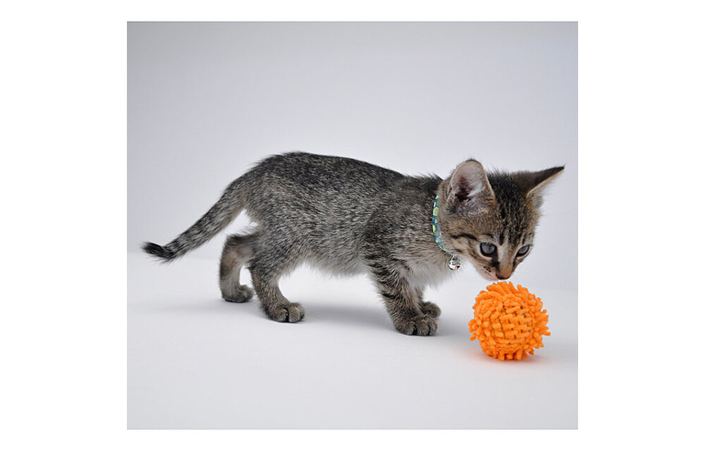 Turbo Mop Ball