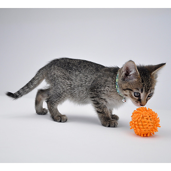 Turbo Mop Ball