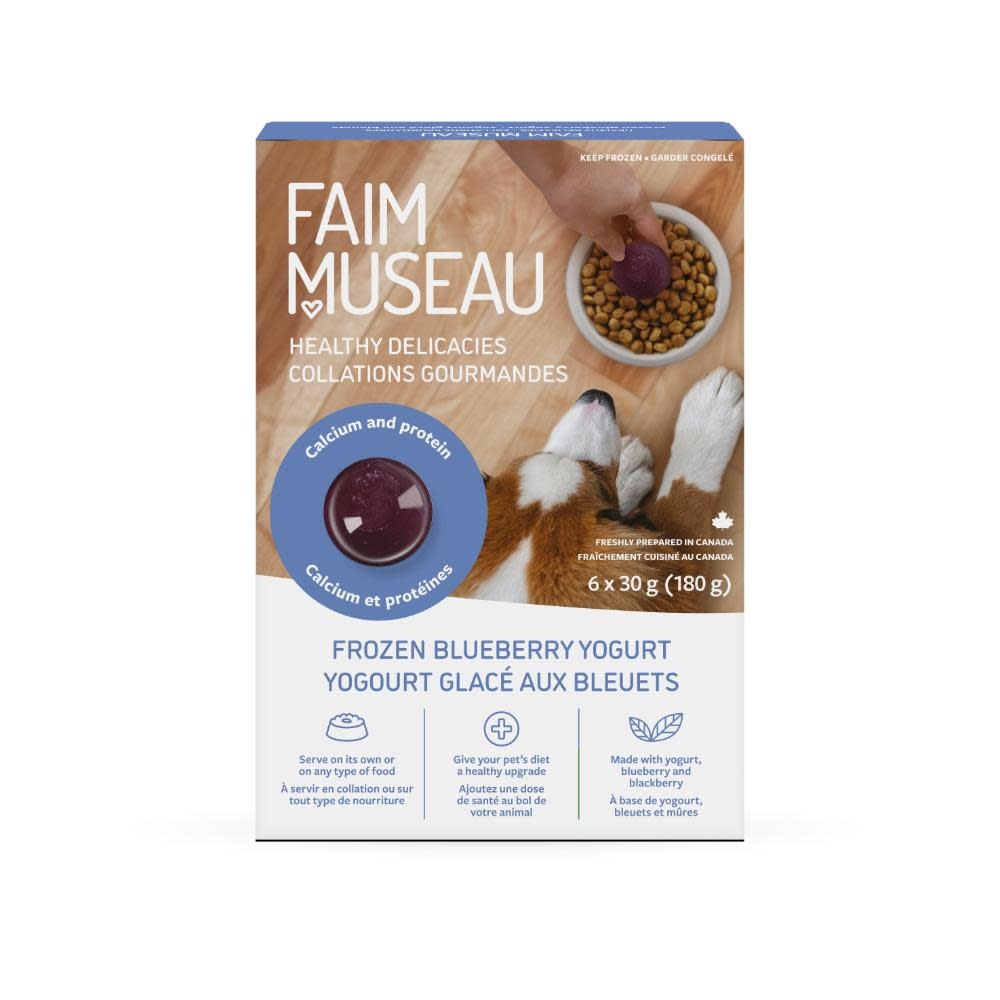 Faim Museau Blueberry Yogurt Frozen Snack 180g