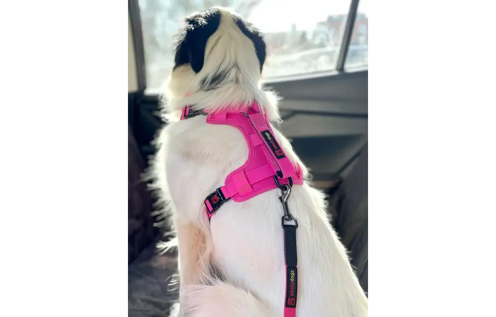 Smellydogz No-Pull Comfort Harness Pink Small