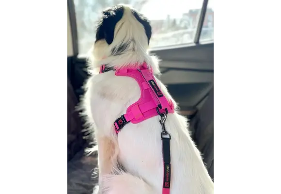Smellydogz No-Pull Comfort Harness Pink Small