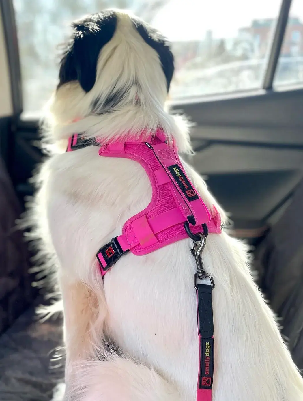 Smellydogz No-Pull Comfort Harness Pink Small