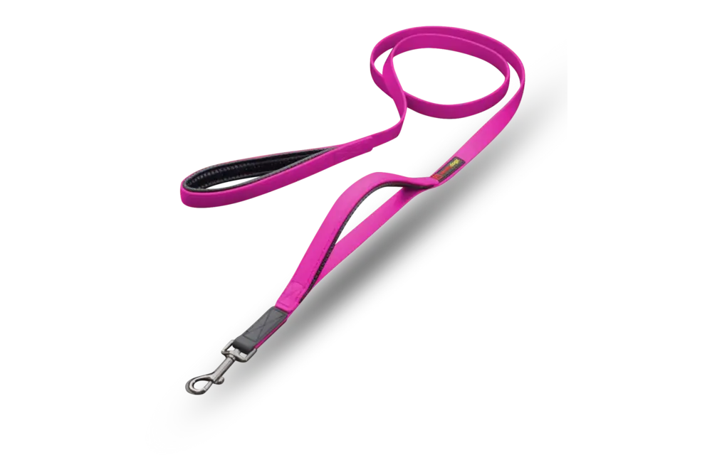 Smellydogz Double Handle Lead Pink 0.75" 6'