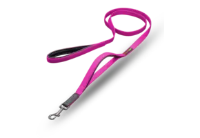 Smellydogz Double Handle Lead Pink 0.75" 6'