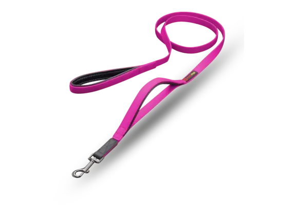 Smellydogz Double Handle Lead Pink 0.75" 6'