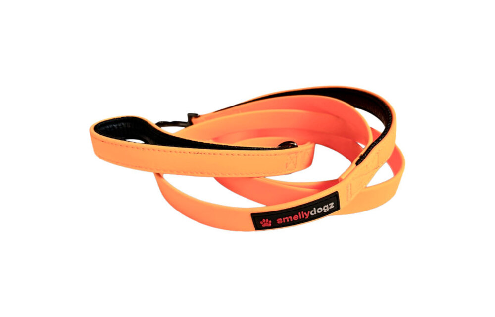 Smellydogz Double Handle Lead Orange 0.75" 6'