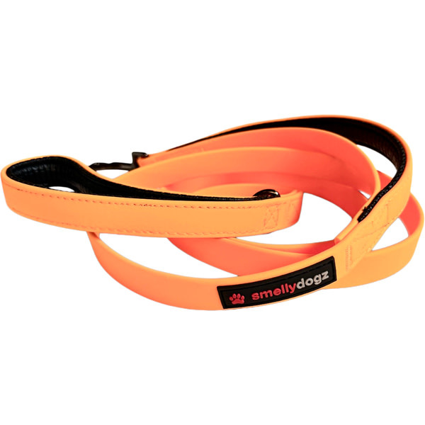 Smellydogz Double Handle Lead Orange 0.75" 6'