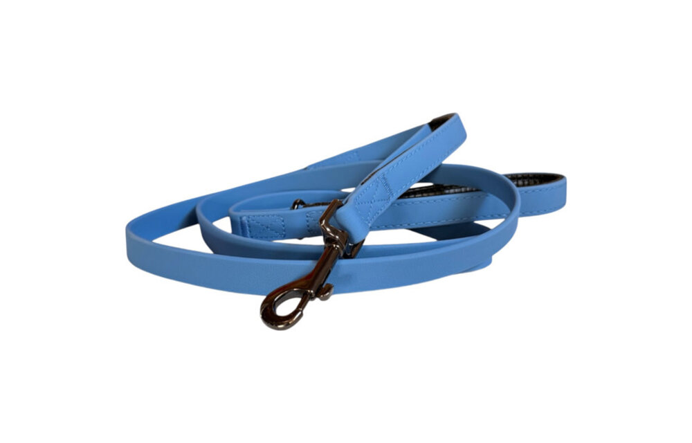 Smellydogz Double Handle Lead Blue 0.75" 6'