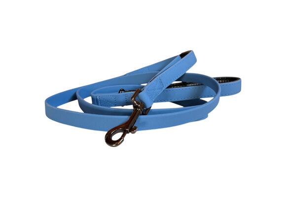 Smellydogz Double Handle Lead Blue 0.75" 6'