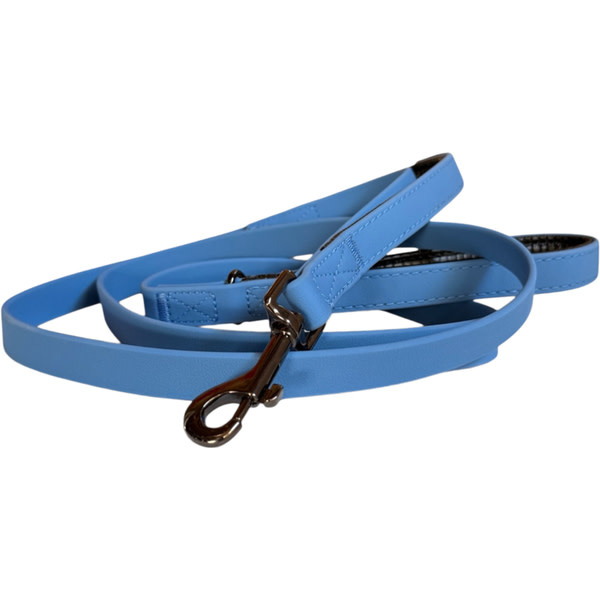 Smellydogz Double Handle Lead Blue 0.75" 6'