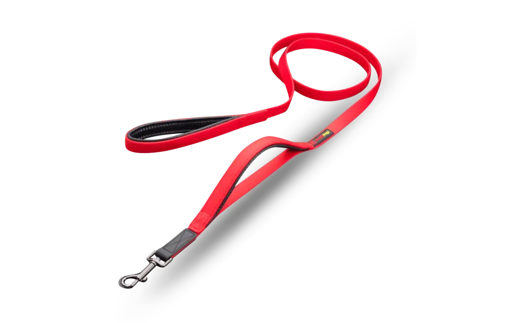 Smellydogz Double Handle Lead Red 0.75" 6'