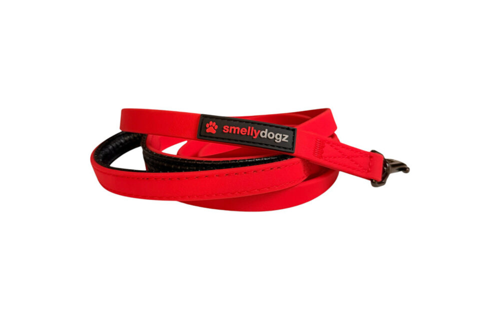 Smellydogz Comfort Lead Red 0.75" 6'