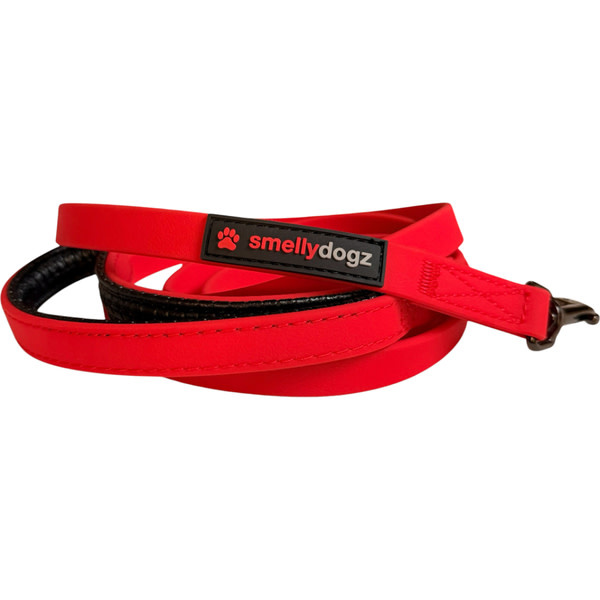 Smellydogz Comfort Lead Red 0.75" 6'