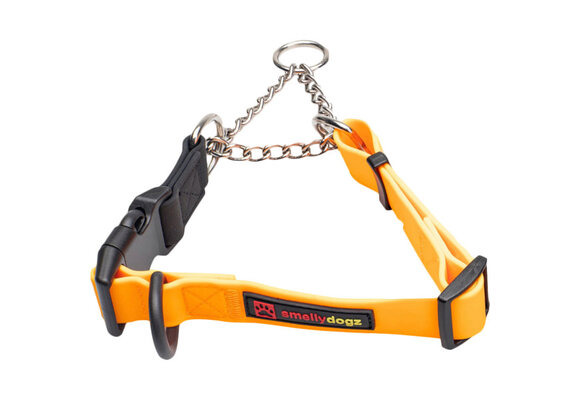 Smellydogz Martingale Collar Orange 1" 18-22"