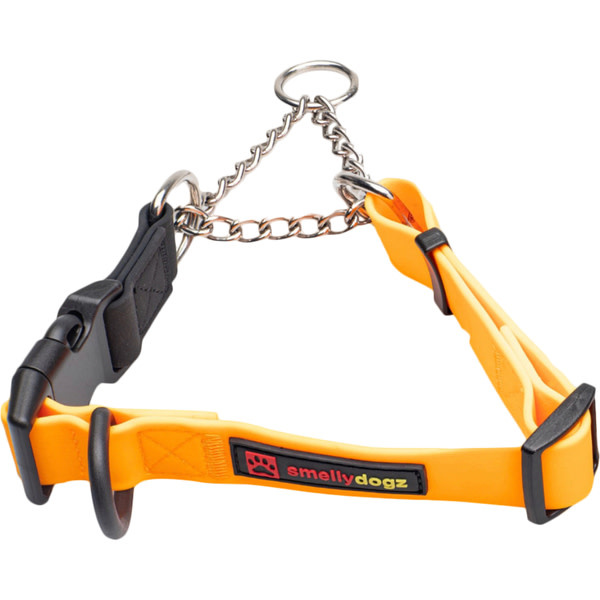 Smellydogz Martingale Collar Orange 1" 18-22"