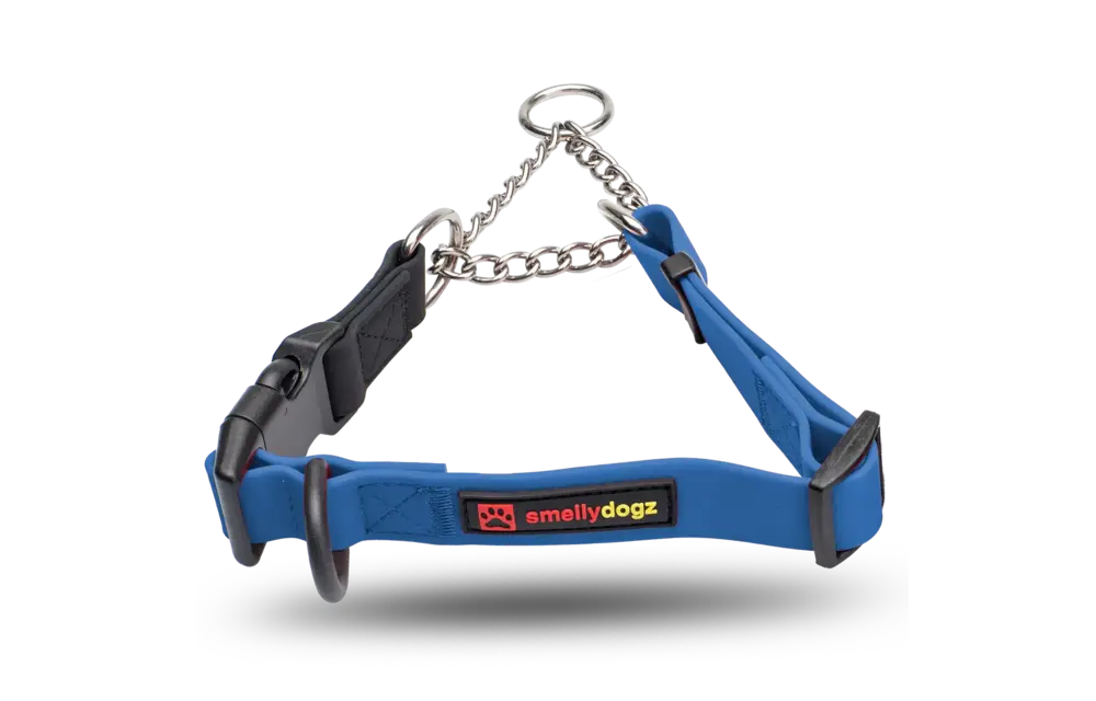 Smellydogz Martingale Collar Blue 1" 18-22"