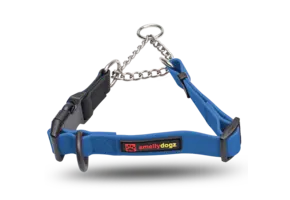 Smellydogz Martingale Collar Blue 1" 18-22"