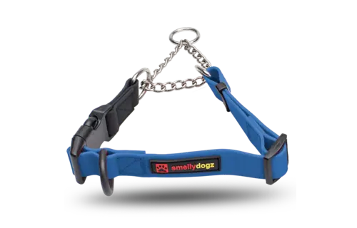 Smellydogz Martingale Collar Blue 1" 18-22"