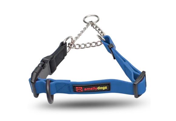 Smellydogz Martingale Collar Blue 1" 18-22"