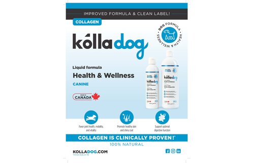 Kolladog Collagen Health & Wellness Formula 250ml