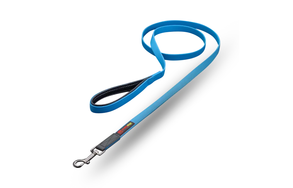 Smellydogz Comfort Lead Blue 0.75" 6'