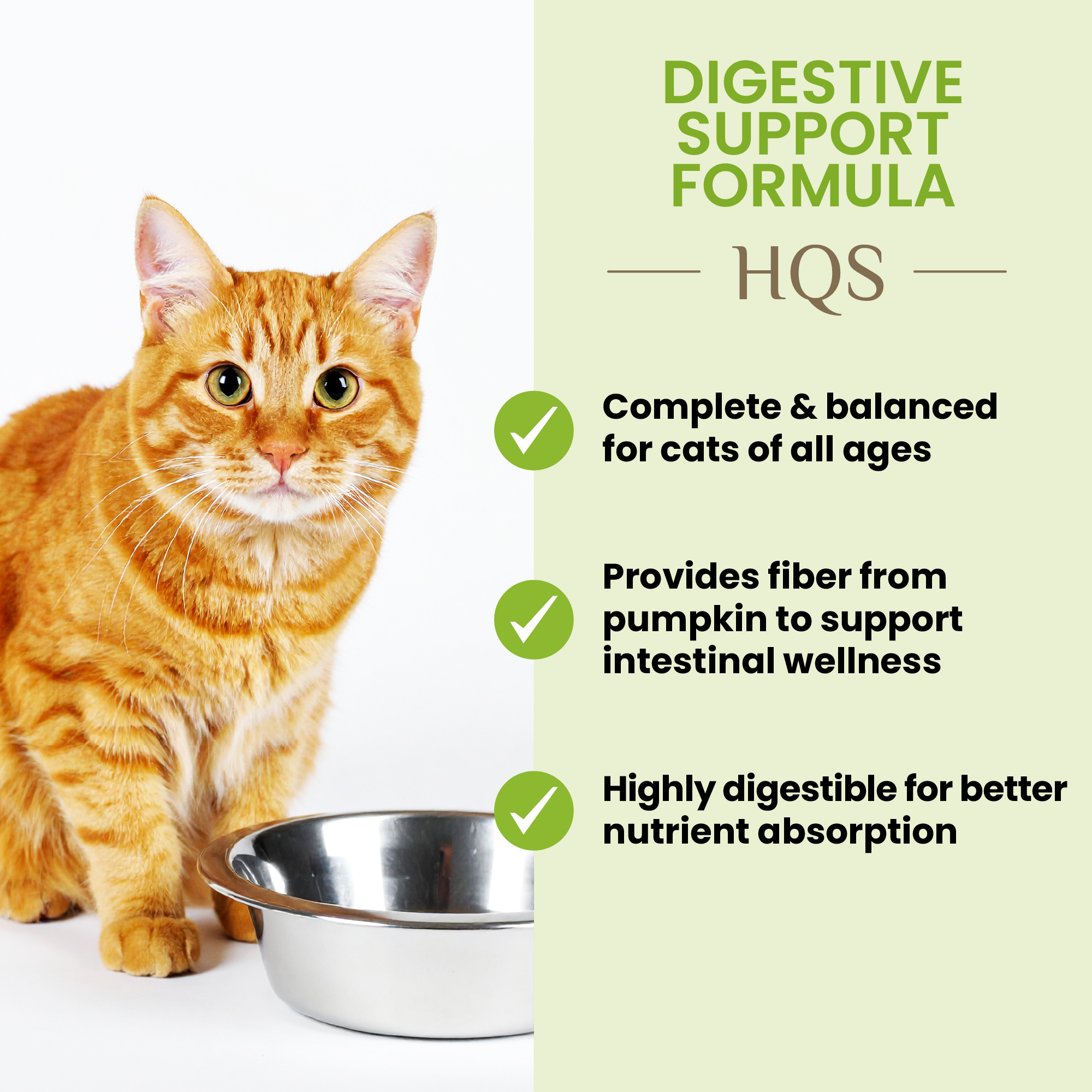 Almo Digestive w/Pumpkin & Gravy Pouches 50g x 6