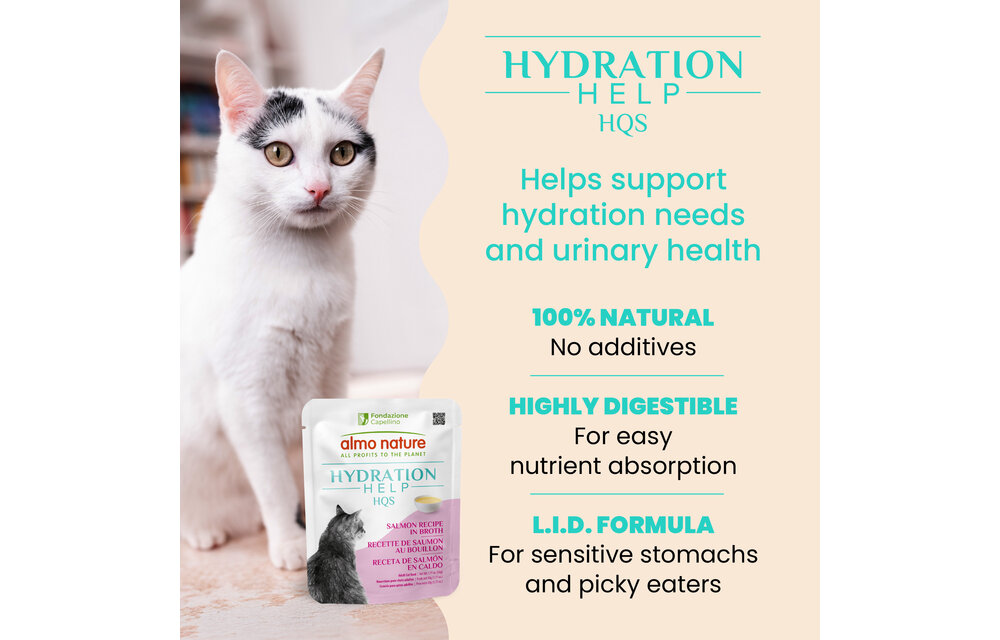 Almo Hydration Help Salmon Broth w/Salmon Fillet 50g Pouch