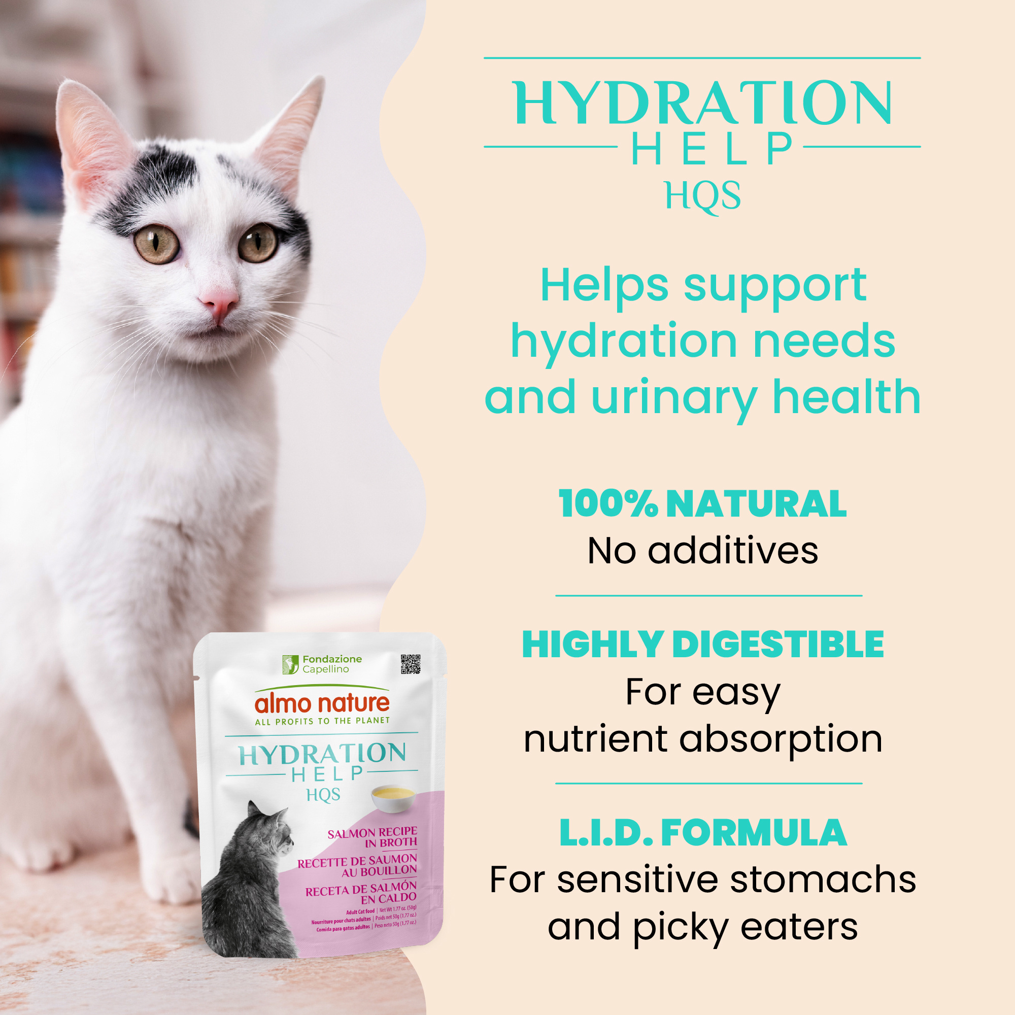 Almo Hydration Help Salmon Broth w/Salmon Fillet 50g Pouch