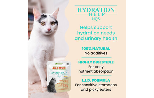 Almo Hydration Help Chicken Broth w/Chicken Fillet 50g Pouch