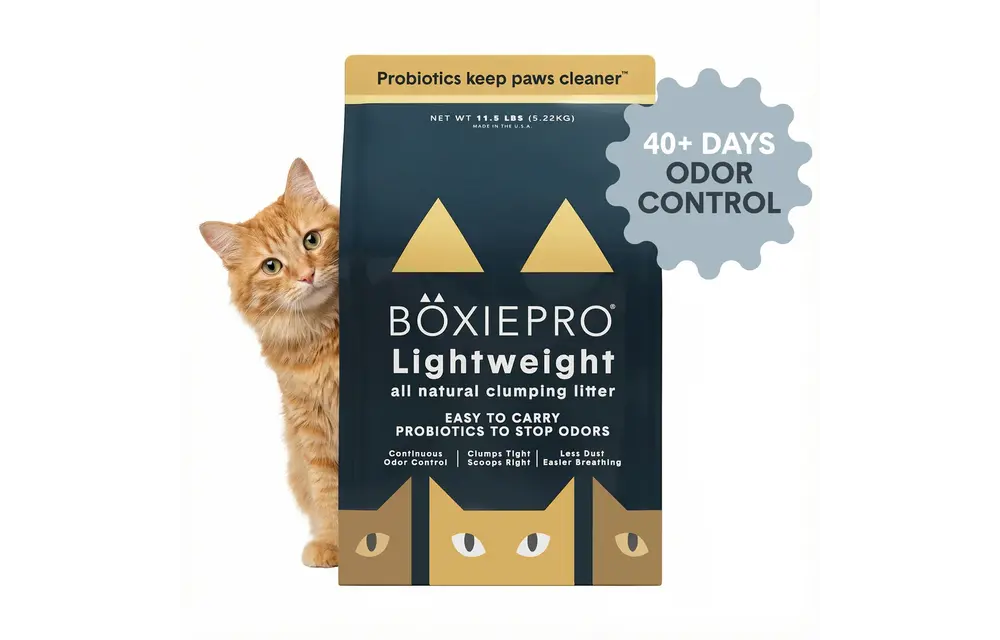 Boxie Cat Pro Lightweight 5.2kg