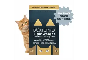 Boxie Cat Pro Lightweight 5.2kg