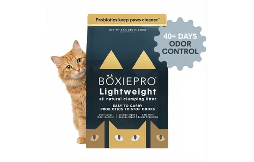 Boxie Cat Pro Lightweight 5.2kg