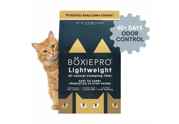 Boxie Cat Pro Lightweight 5.2kg
