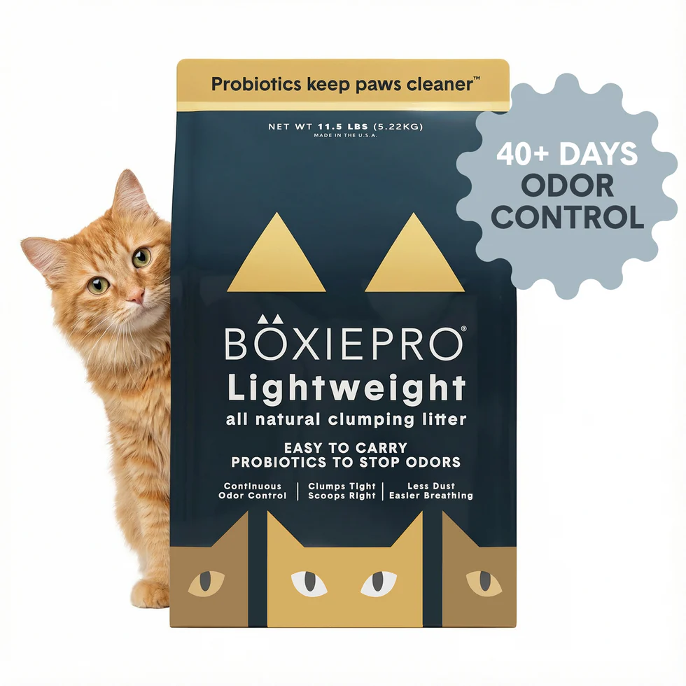 Boxie Cat Pro Lightweight 5.2kg