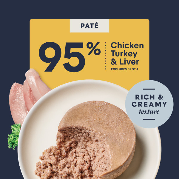 Instinct Original GF Cage Free Chicken Cat 5.5 oz