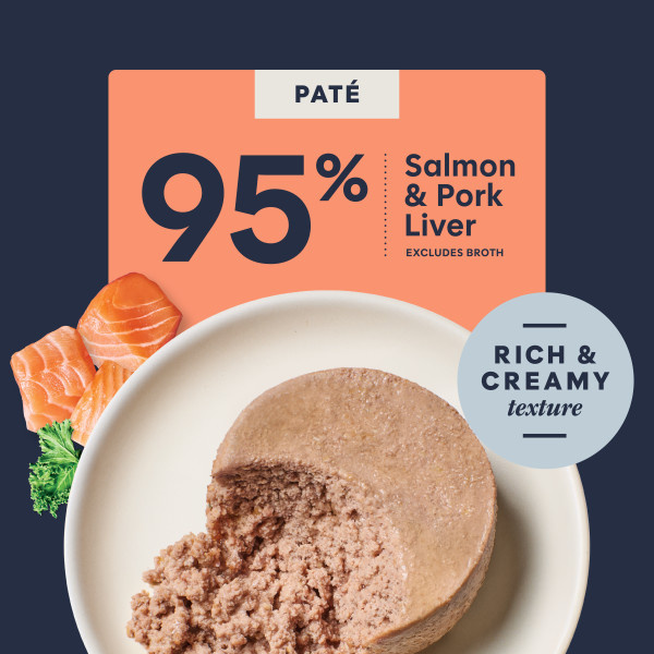 Instinct Cat Original Salmon 5.5oz