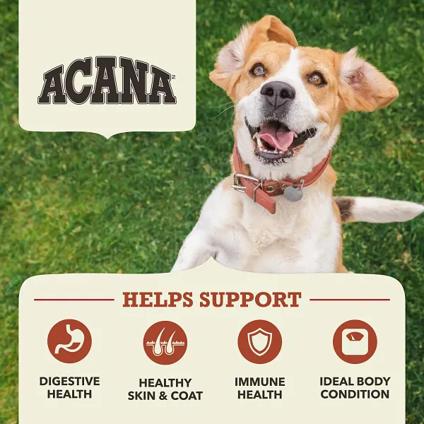 Acana Dog Beef with Pumpkin 10.8kg