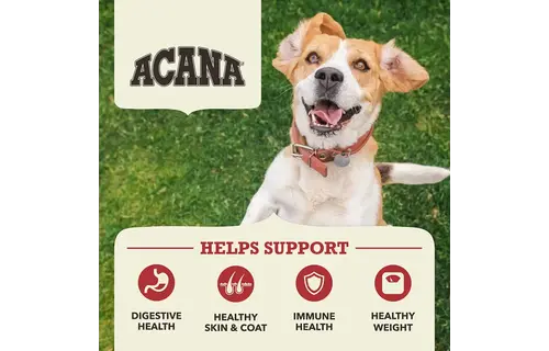 Acana Dog Red Meat Recipe 11.4kg