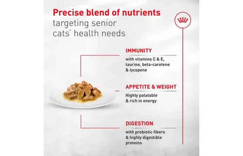 Royal Canin FHN Aging 11+ Thin Slices 85g