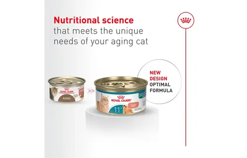 Royal Canin FHN Aging 11+ Thin Slices 85g