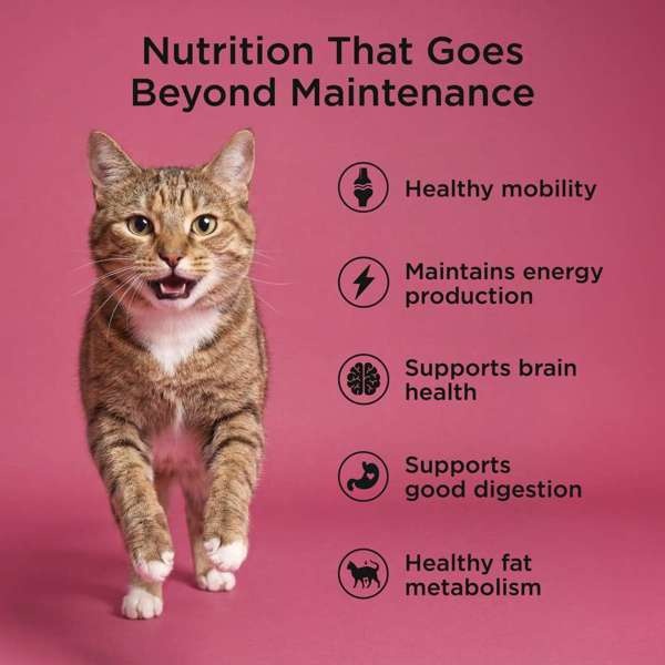 *New*GO! Cat Healthy Aging GF Salmon & Duck 8lb